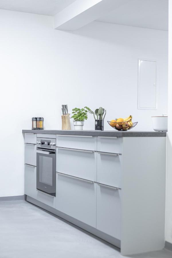 Exklusive Neubau-Ferienwohnung Mit Fernsicht 康斯坦茨 外观 照片